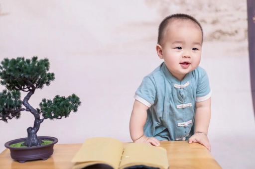 滁州可爱的企鹅宝宝